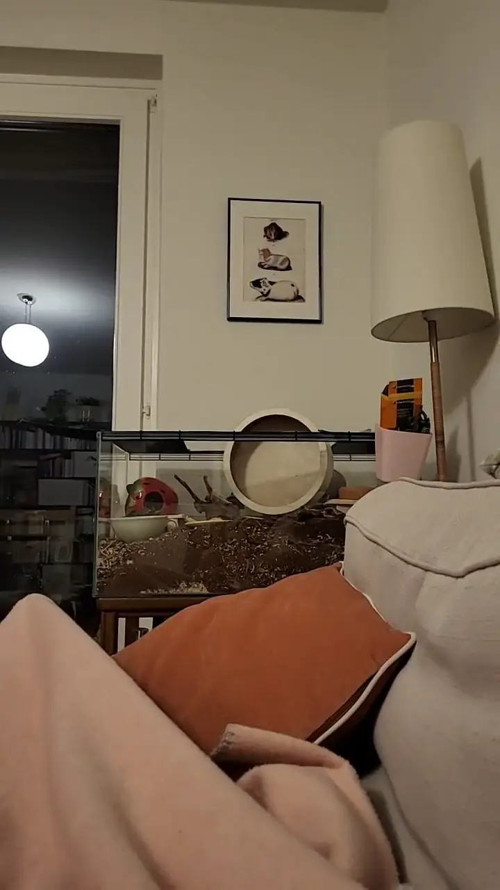 Video vom 27. April 2025
