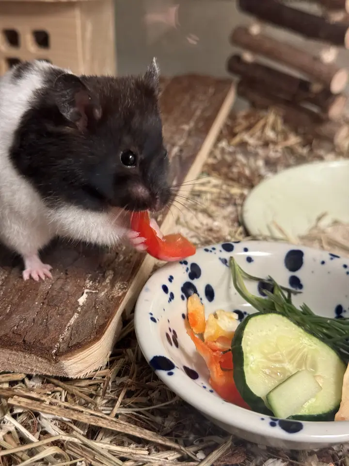 Foto vom 2. Juni 2025