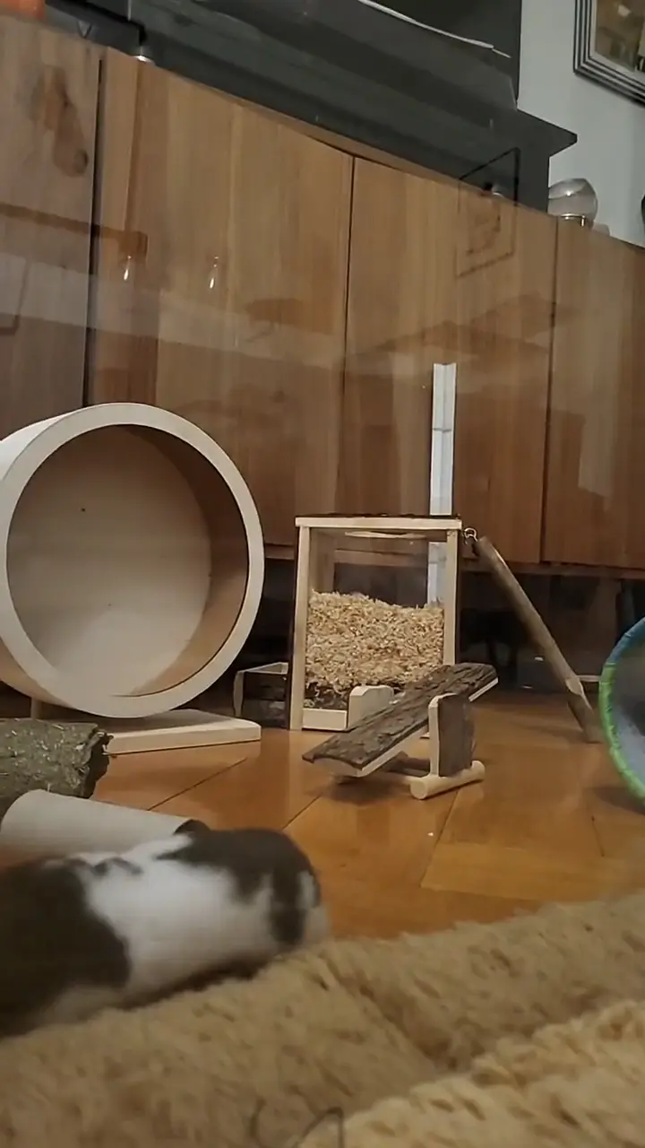 Video vom 12. September 2025