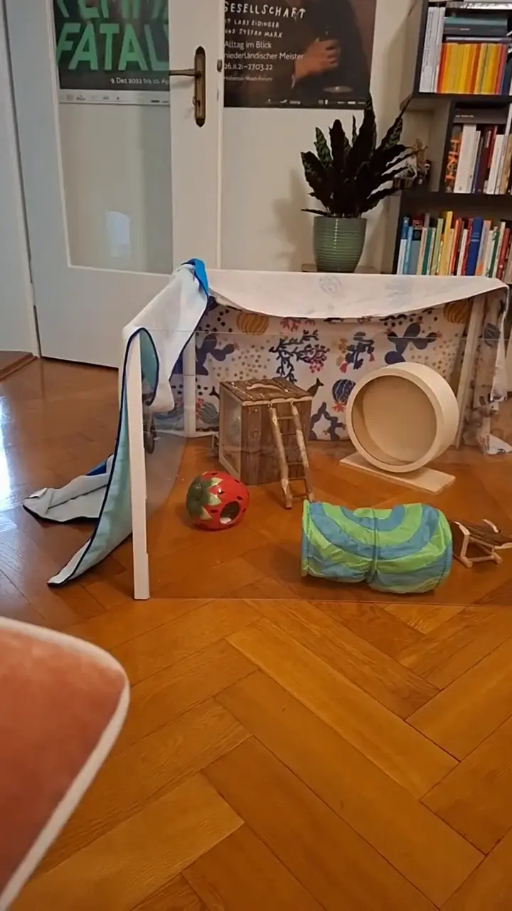 Video vom 3. November 2025