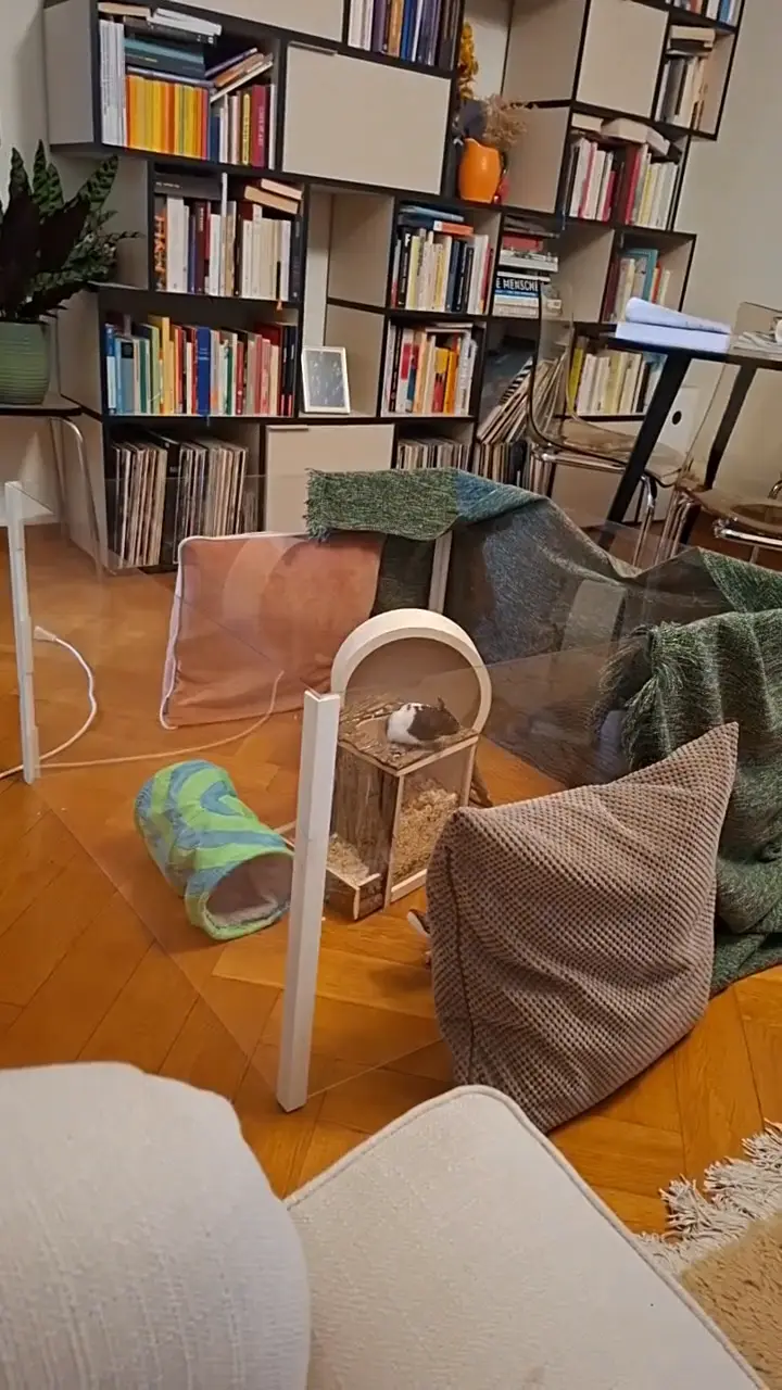 Video vom 25. Januar 2026