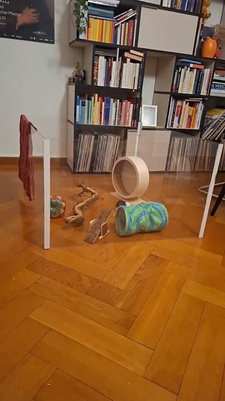 Video vom 19. Juli 2026