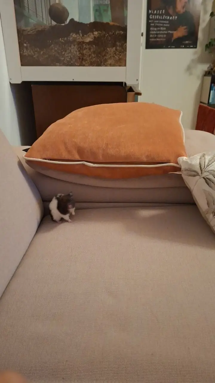 Foto vom 24. August 2026